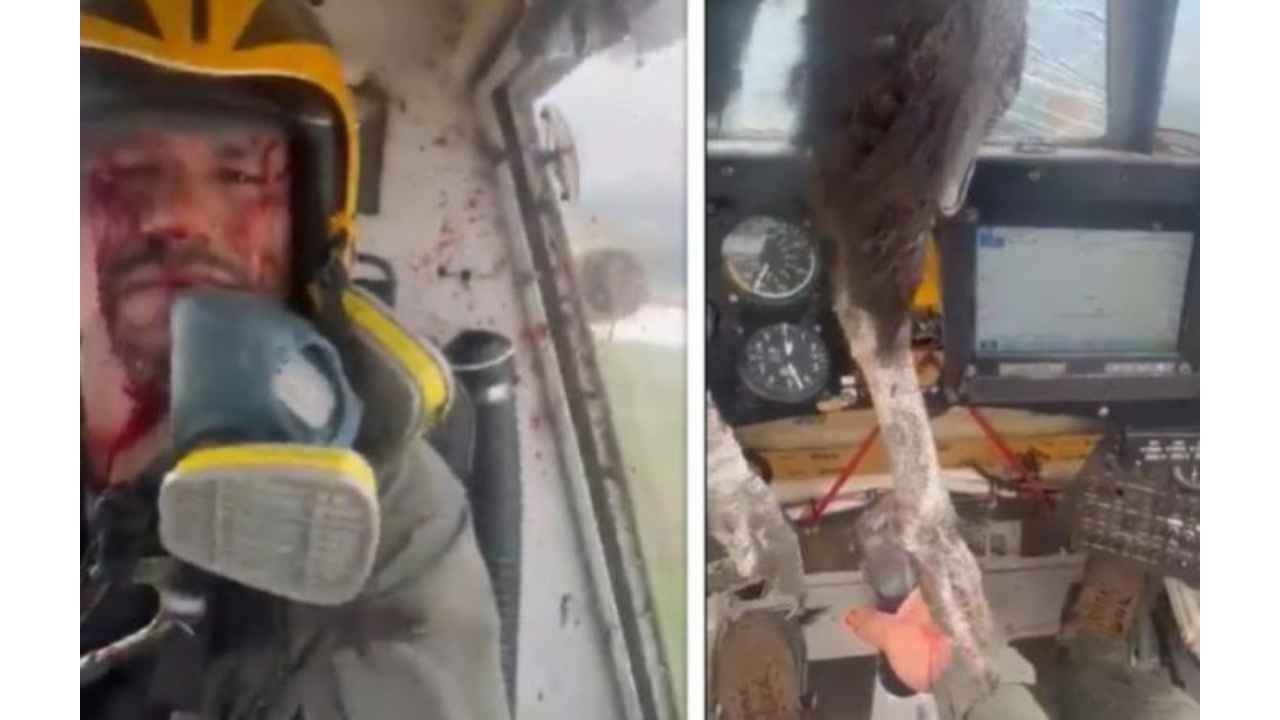 Watch: Pilot is shocked as huge bird flies straight through the cockpit window in an airplane, giving him serious injuries