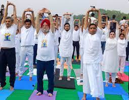 Yoga day celebration