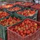 Tomato prices touch the roof, cross Rs 120 per kg in Delhi, Noida