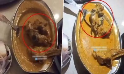 Rat in malai mutton