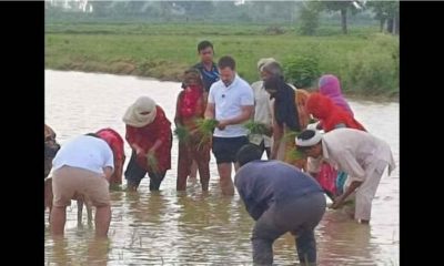 Rahul Gandhi surprises Sonipat farmers, drives tractor in stop on his way to Shimla