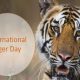 International Tiger Day