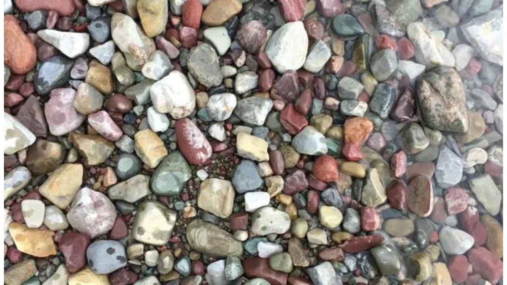 International Rock Day 2023: Stay strong and resilient, just like a rock