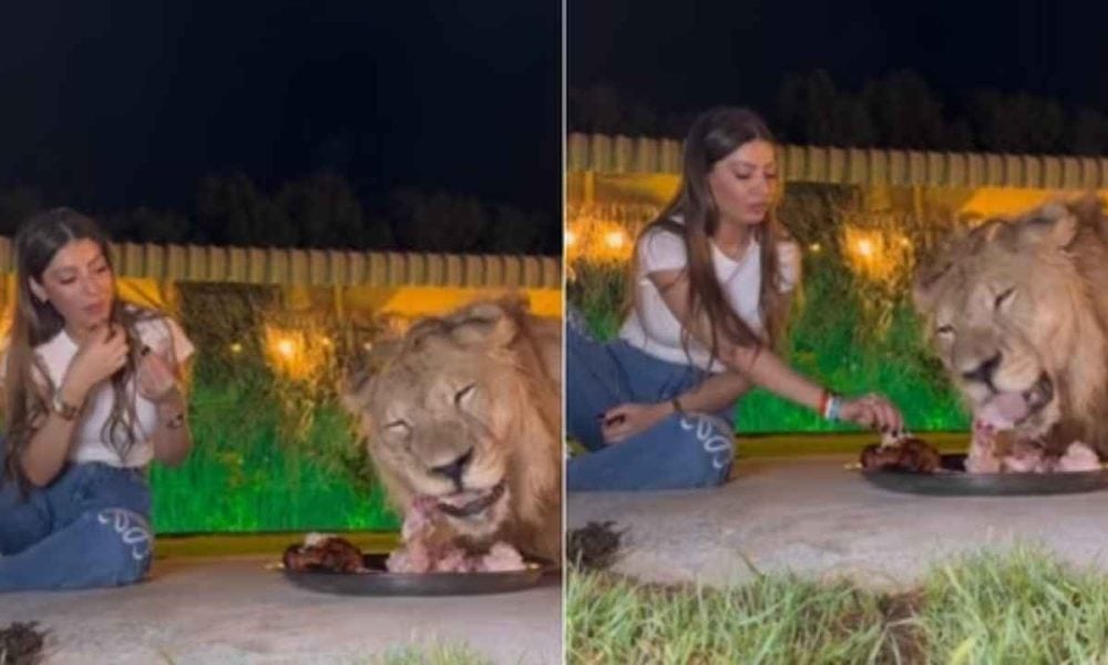 Watch: Video of a woman sharing a meal with a lion goes viral