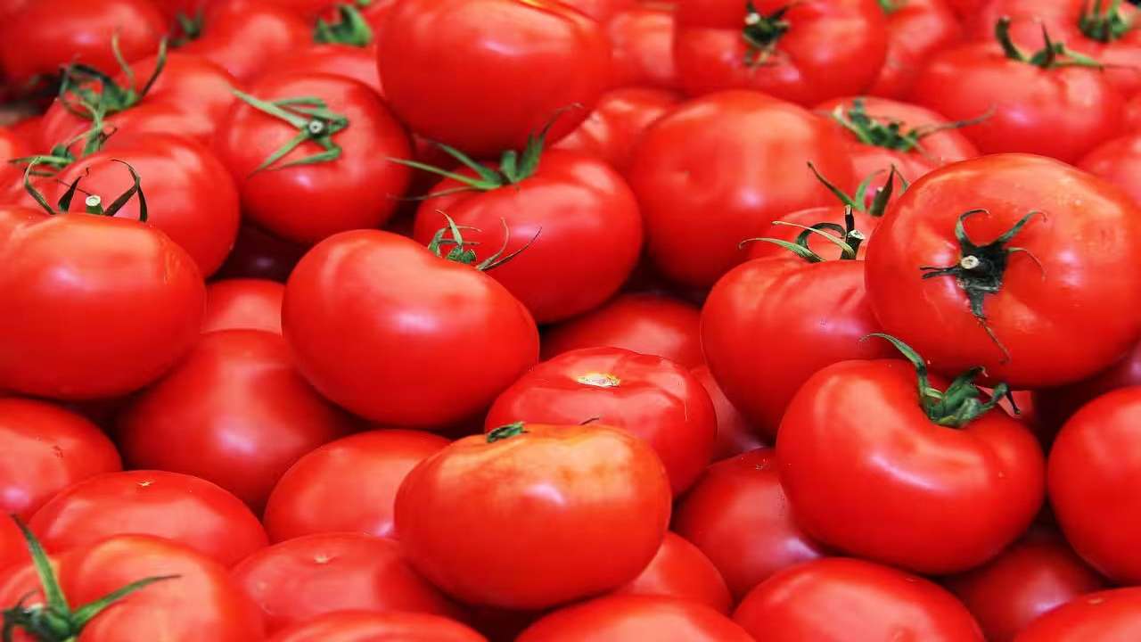 Tomato