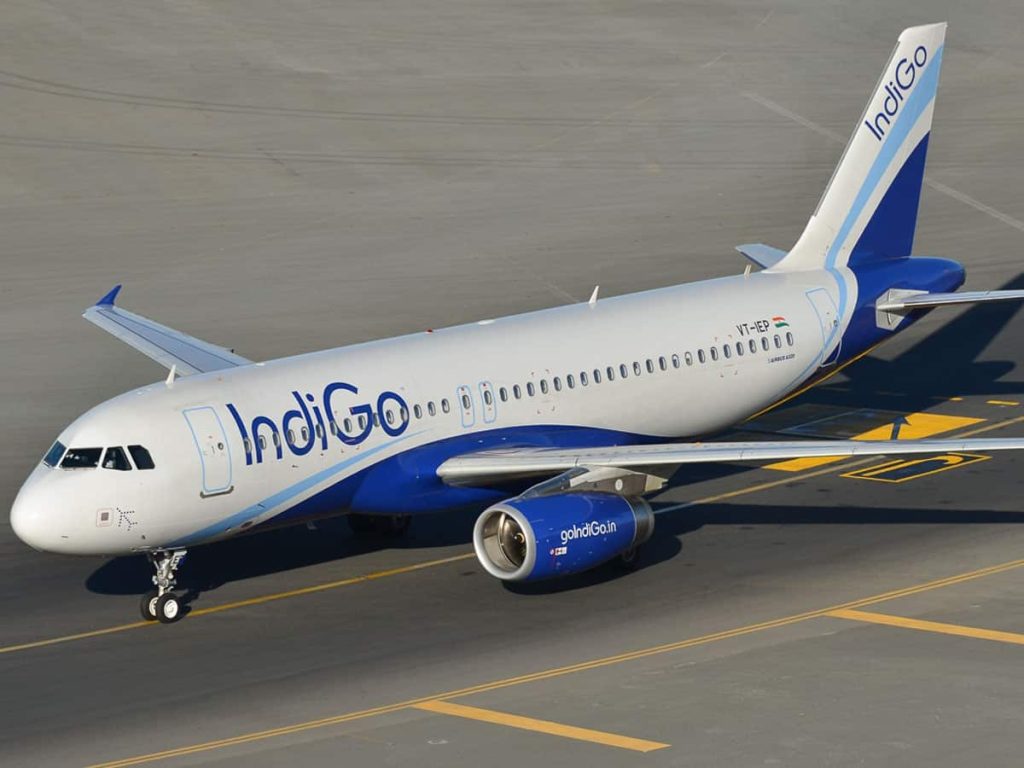 indigo