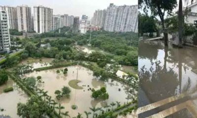 Noida: Parks in residential sectors filled with rainwater, becomes a breeding ground for mosquitos