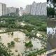 Noida: Parks in residential sectors filled with rainwater, becomes a breeding ground for mosquitos