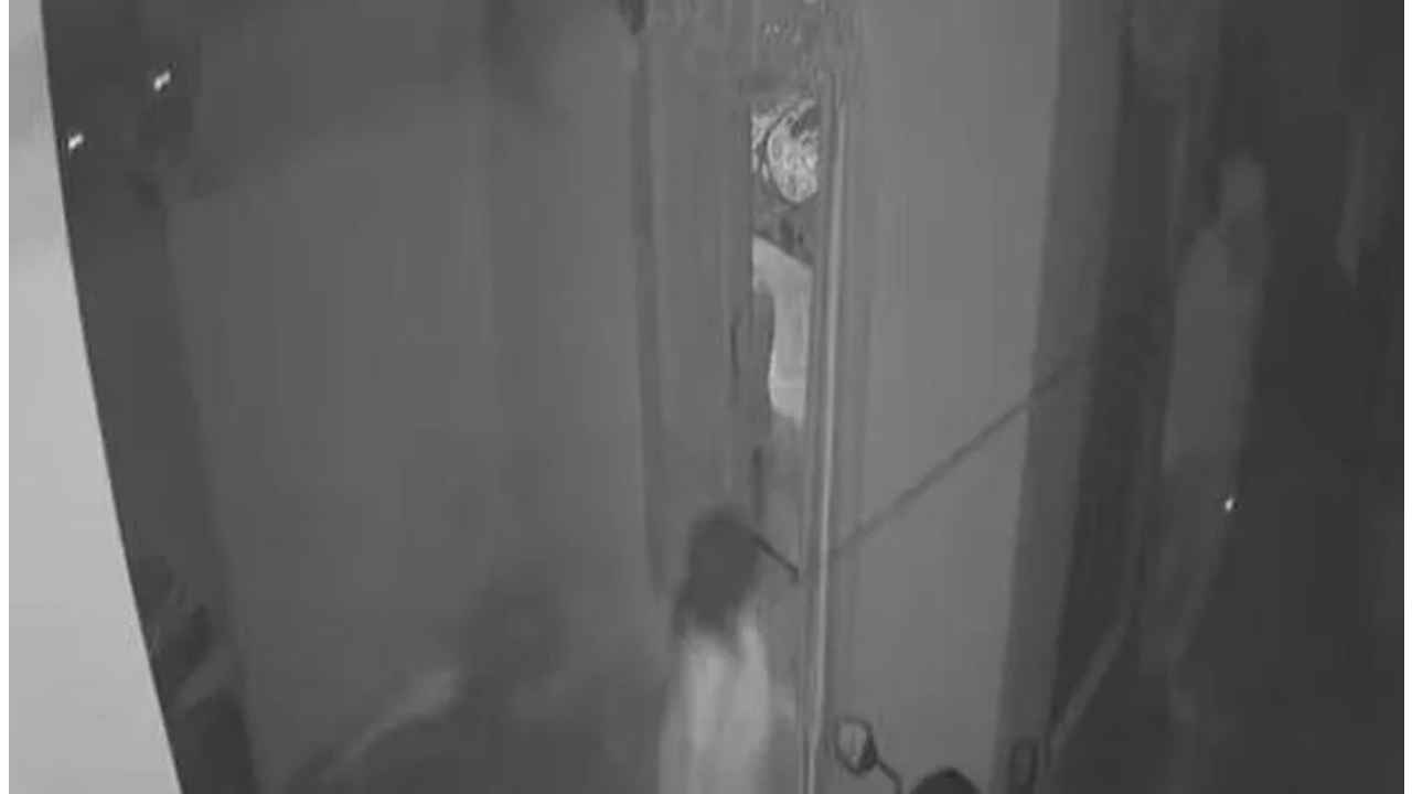 Watch: A masked man attacks a woman with an iron rod in Telangana’s Rajanna’s Sircilla district, video goes viral