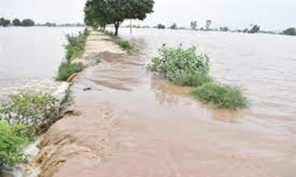 Punjab floods: CM Bhagwant Mann hands over compensation cheques to flood victims, Army rescue 300 people from flood hit villages