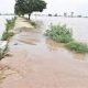 Punjab floods: CM Bhagwant Mann hands over compensation cheques to flood victims, Army rescue 300 people from flood hit villages