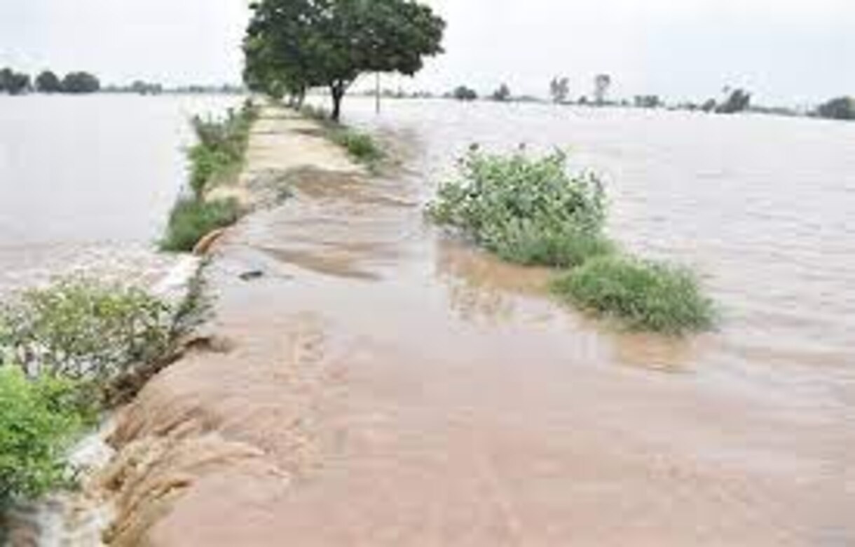 Punjab floods: CM Bhagwant Mann hands over compensation cheques to flood victims, Army rescue 300 people from flood hit villages