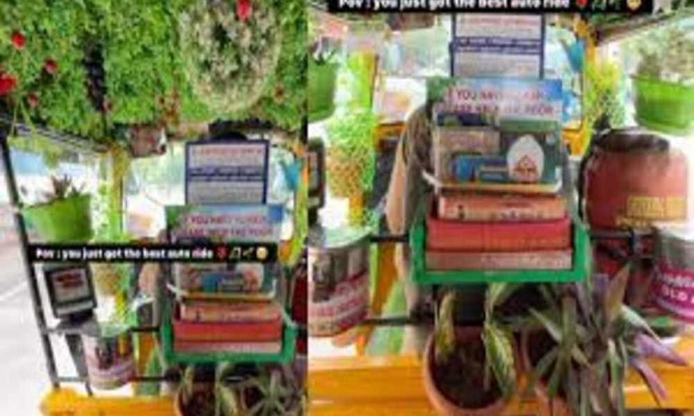 Viral: Mini garden in autorickshaw leaves social media users amazed | Watch video