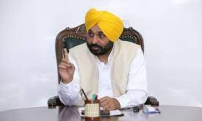 Punjab: CM Bhagwant Mann announces hiring of 586 revenue officials on vacant posts