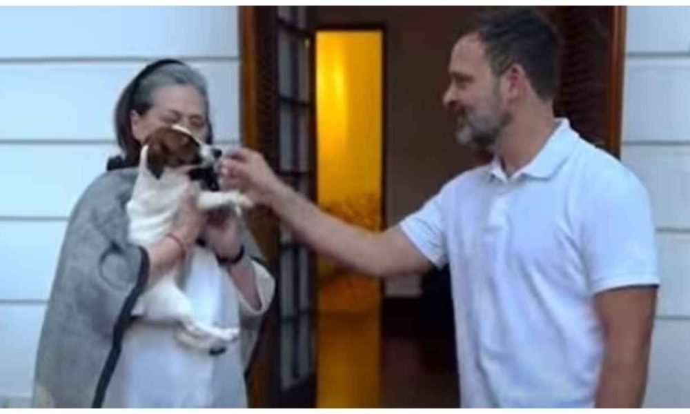 Watch: Rahul Gandhi brings a little surprise for mother Sonia Gandhi