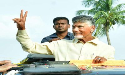 TRS chief Chandrababu Naidu bail