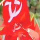 Telangana assembly elections: CPI to ally with Congress, CPM to go alone