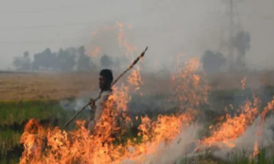 Delhi pollution: Centre increases penalties for farmers involved in stubble burning, fines to go up to Rs 30,000