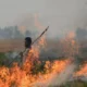 Delhi pollution: Centre increases penalties for farmers involved in stubble burning, fines to go up to Rs 30,000