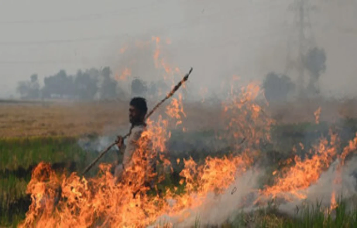 Delhi pollution: Centre increases penalties for farmers involved in stubble burning, fines to go up to Rs 30,000