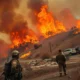 Aerial view of wildfire flames consuming dry vegetation in Los Angeles with smoke billowing into the sky.