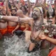 Naga sadhus of Niranjani and Anand Akharas during the first Amrit Snan at Maha Kumbh 2025