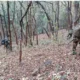 Security forces during a nighttime operation in Chhattisgarh's forest area