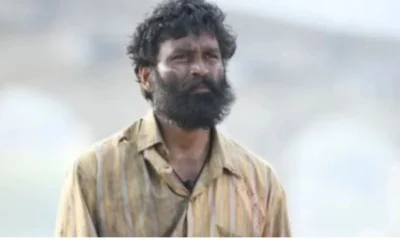 Kubera movie earning