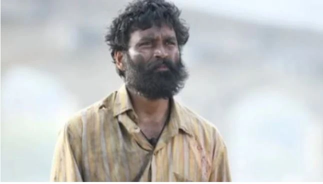 Kubera movie earning