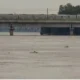 Image shows Yamuna river flowing in spate at danger mark