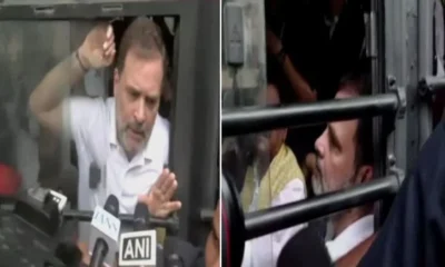 Image shows Rahul Gandhi and fellow MPs being detained in Delhi Police buses