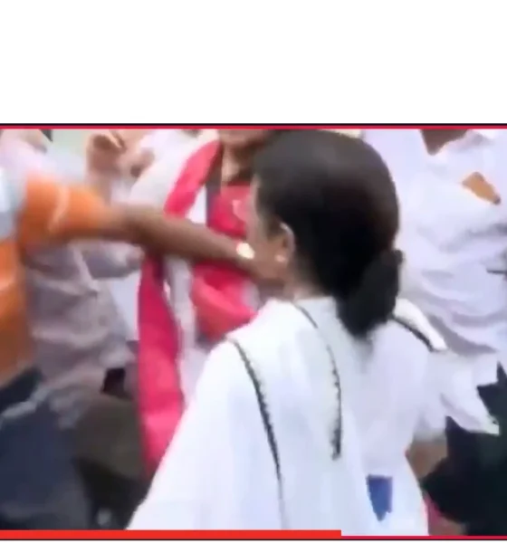 Mamta banerjee slaps own party worker